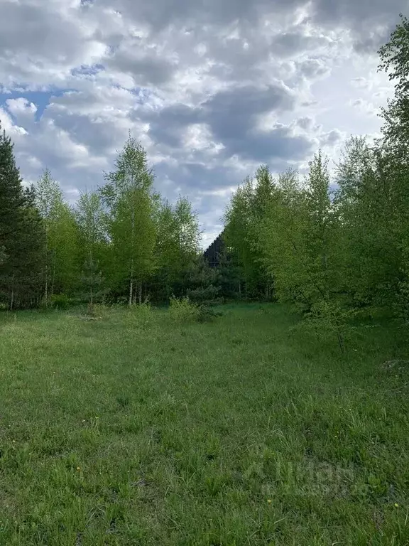 Участок в Ярославская область, Брейтовский район, с. Горелово Речная ... - Фото 1