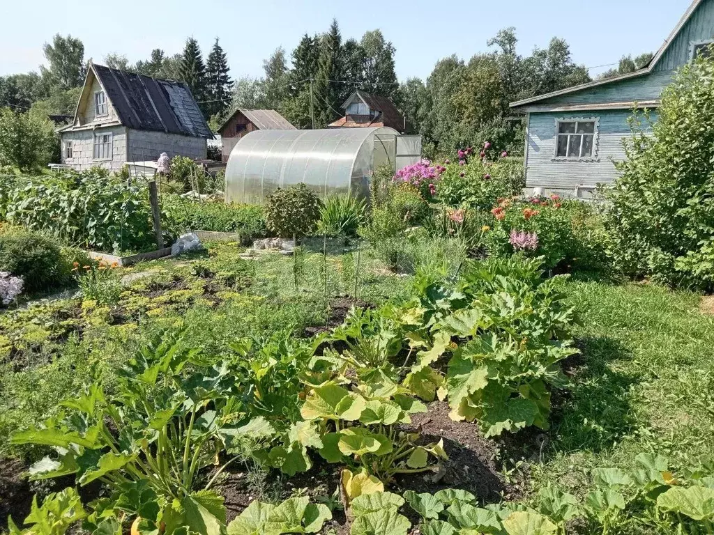Дом в Вологодская область, Сокольский муниципальный округ, Тарник ... - Фото 2