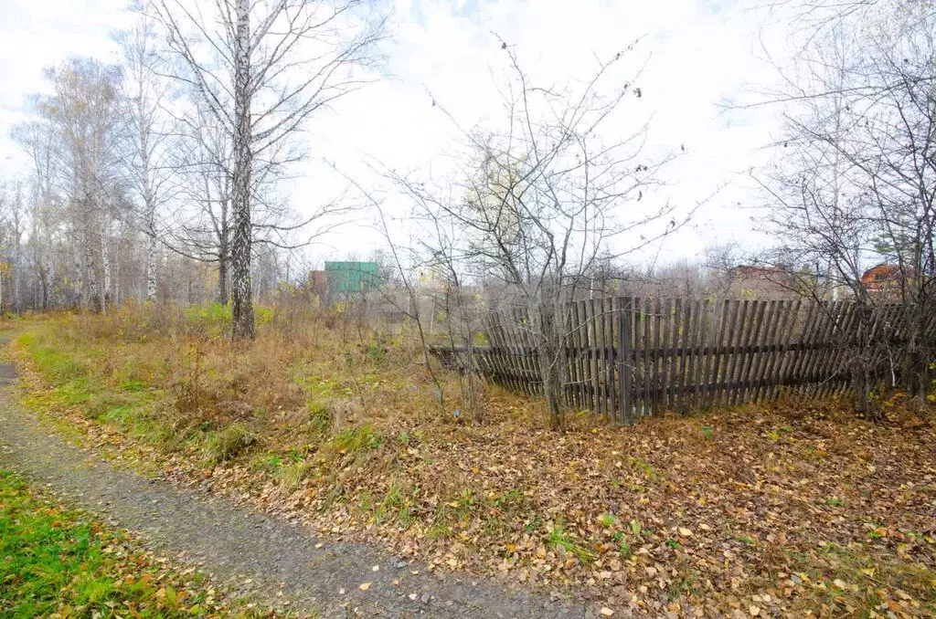 Дом в Тюменская область, Заводоуковский муниципальный округ, СОТ № 1 ... - Фото 2