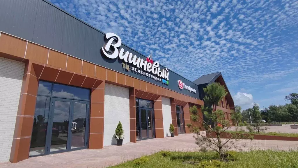 Торговая площадь в Калининградская область, Зеленоградск ул. ... - Фото 2