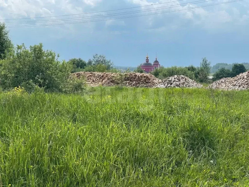Участок в Калужская область, Медынский муниципальный округ, с. Егорье  ... - Фото 1