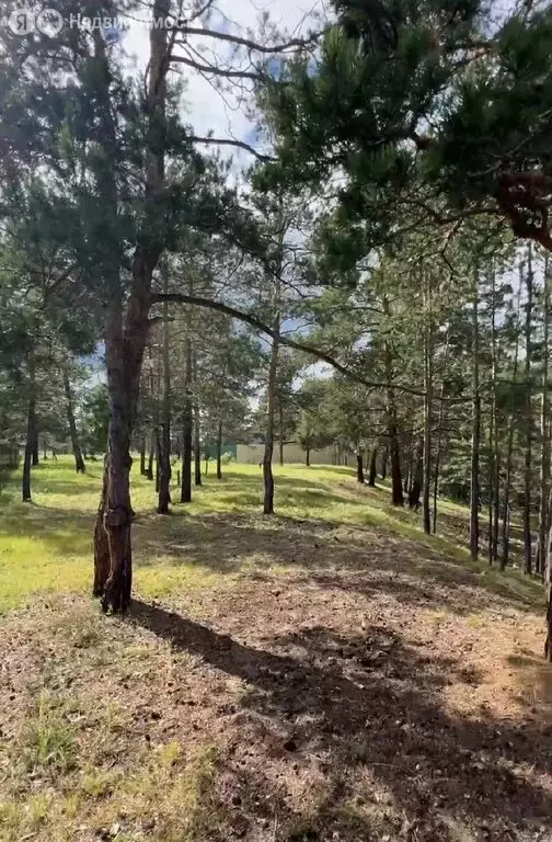 Участок в Республика Саха (Якутия), городской округ Якутск, село ... - Фото 1