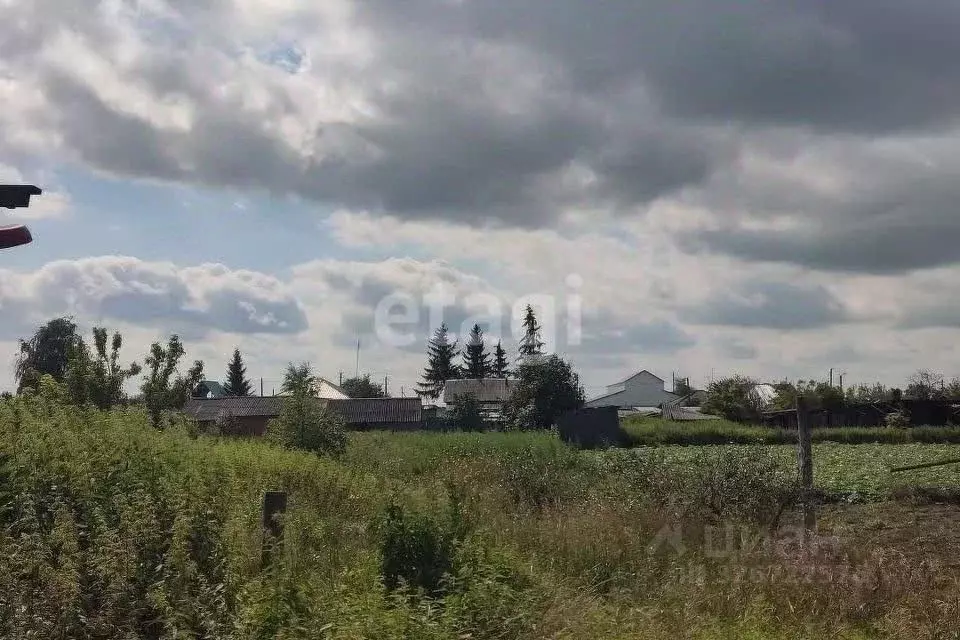 Участок в Свердловская область, Тавда ул. 1-я Парковая (15.0 сот.) - Фото 2