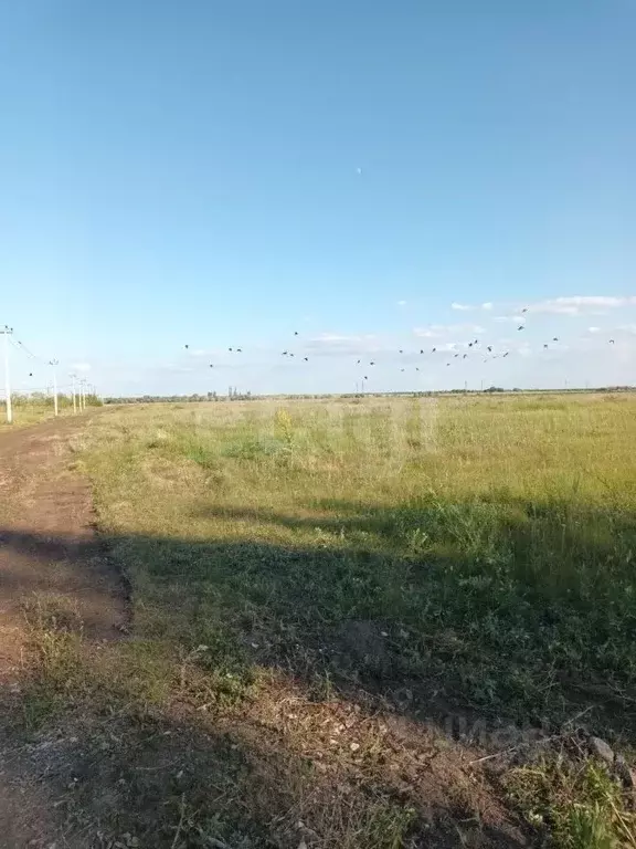 Участок в Саратовская область, Энгельсский район, Красноярское ... - Фото 1