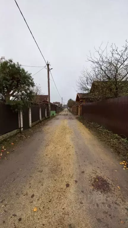 Участок в Ленинградская область, Сосновый Бор Северное СНТ, ул. ... - Фото 2