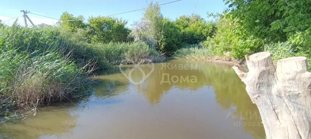 Участок в Волгоградская область, Волгоград Наука СНТ, 70 (5.23 сот.) - Фото 1