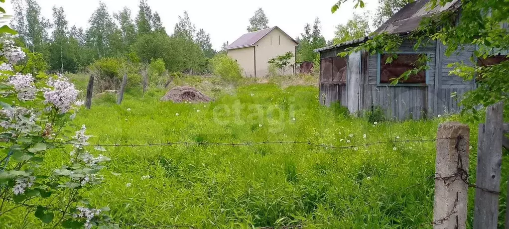 Дача 24 м на участке 7,7 сот. - Фото 1