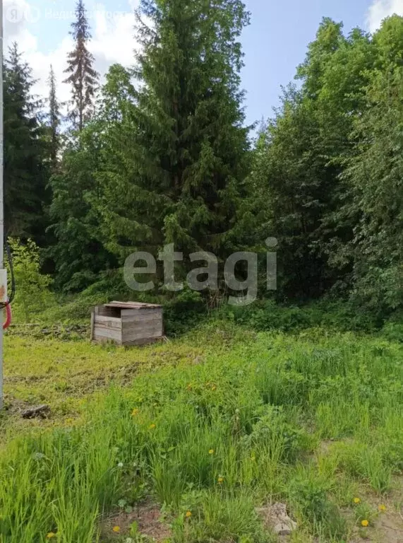 Участок в Пермь, Свердловский район, Пасечная улица (10 м) - Фото 2