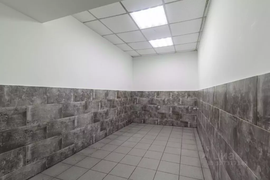 Офис в Санкт-Петербург ул. Марата, 77 (11 м) - Фото 1