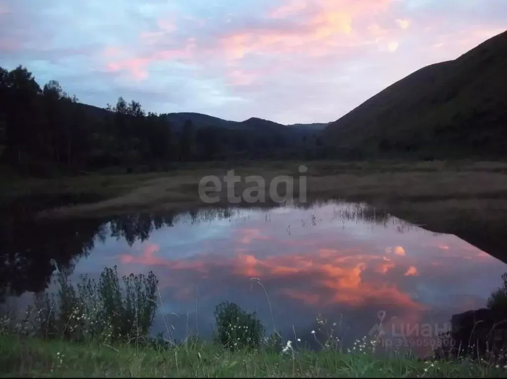 Участок в Алтайский край, Алтайский район, с. Нижнекаянча  (45000.0 ... - Фото 1