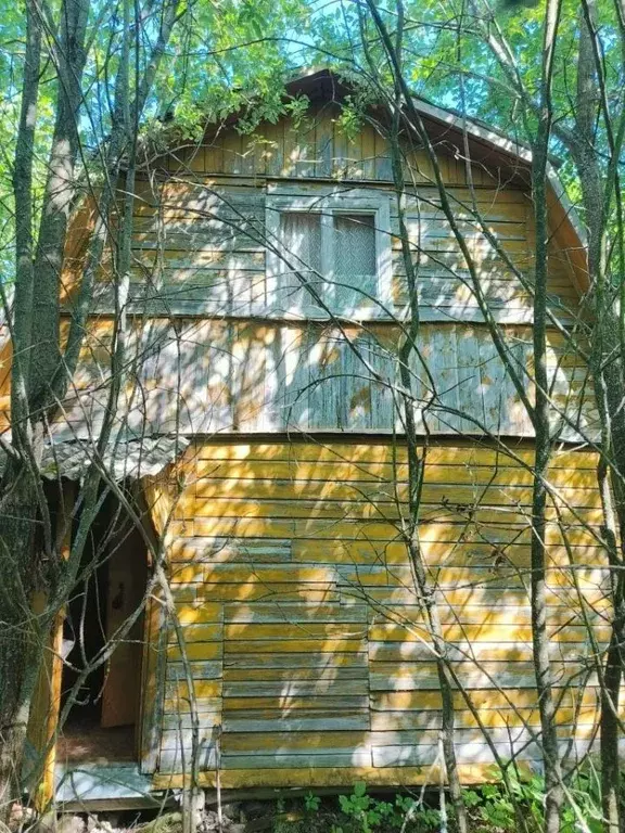 Дом в Владимирская область, Александровский муниципальный округ, ... - Фото 1
