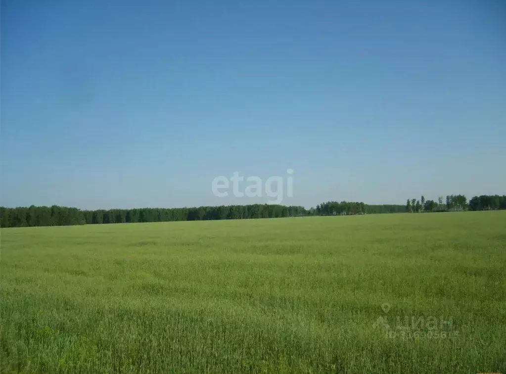 Участок в Краснодарский край, Динская ст-ца  (25.0 сот.) - Фото 0