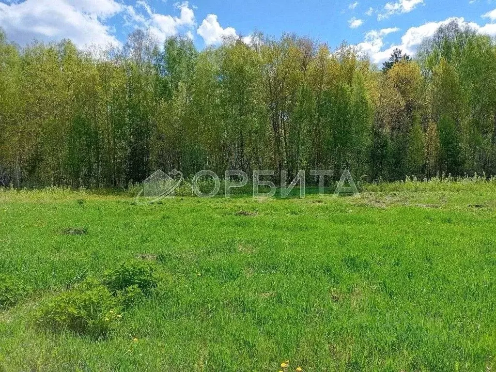 Участок в Тюменская область, Тюменский район, с. Кулига, Сказка кп  ... - Фото 0