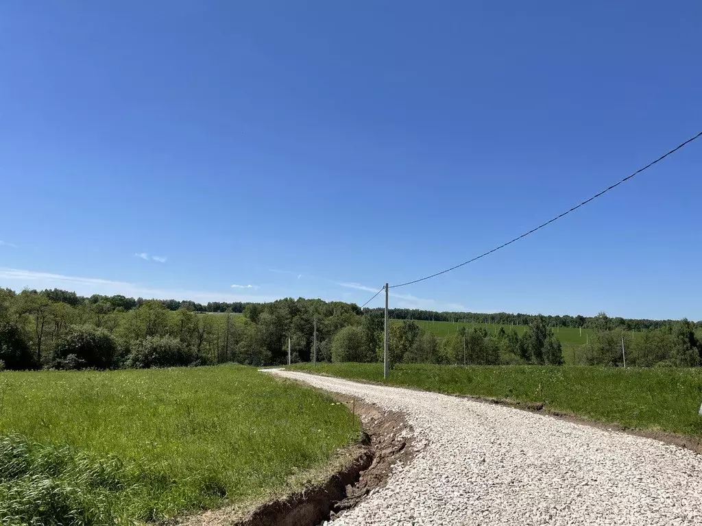 Участок в Тульская область, Заокский район, Демидовское с/пос, с. ... - Фото 1