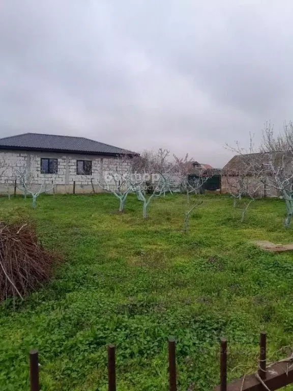 Участок в Крым, Феодосия Геотехник СПК, ул. Клубничная (8.0 сот.) - Фото 2