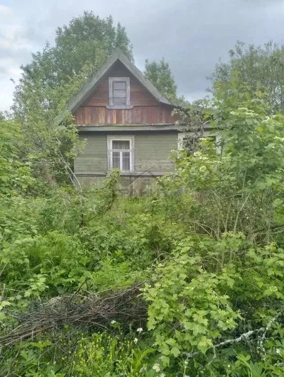 Участок в Новгородская область, Маловишерское городское поселение, д. ... - Фото 1