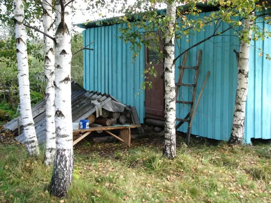 Участок в Новгородская область, Любытинское с/пос, д. Большое ... - Фото 2