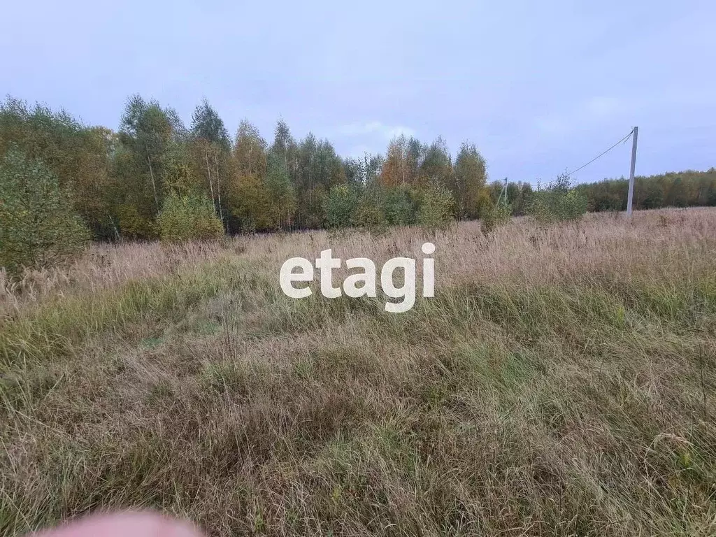 Участок в Владимирская область, Петушинский муниципальный округ, д. ... - Фото 1