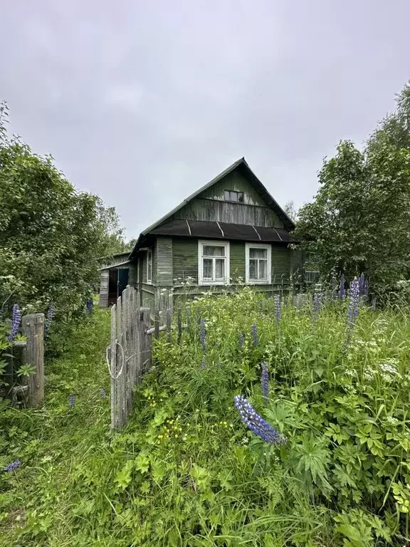 Дом в Псковская область, Плюсский муниципальный округ, д. Дубок 7 (60 ... - Фото 0