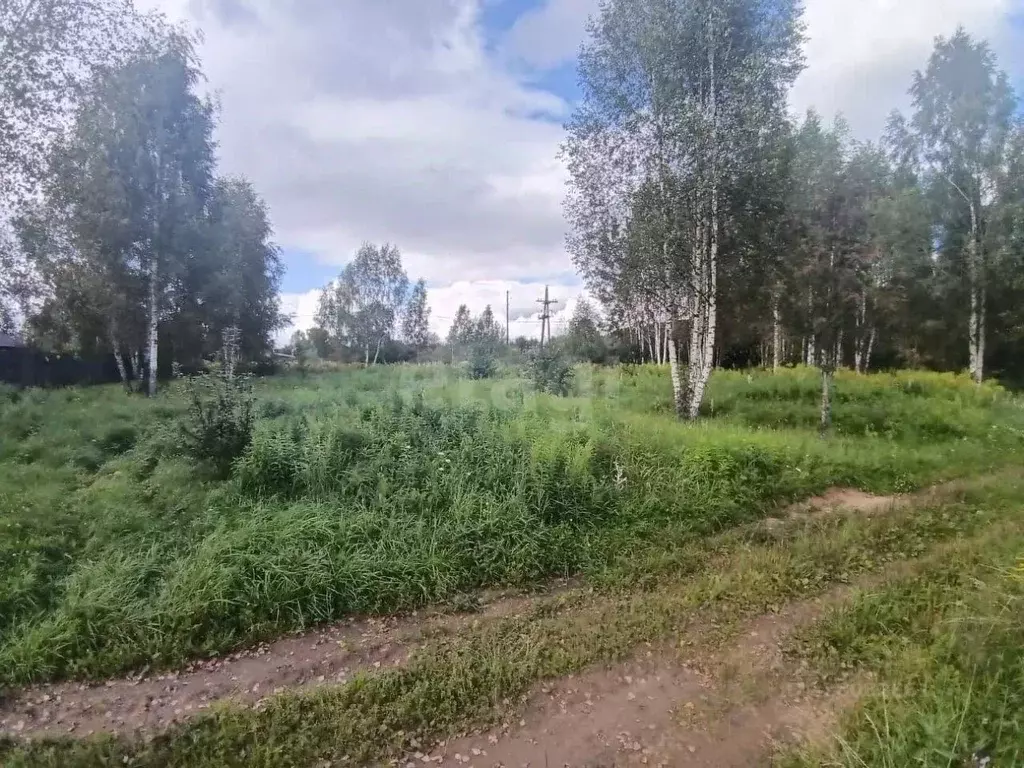 Участок в Тверская область, Калининский муниципальный округ, д. Новое ... - Фото 1