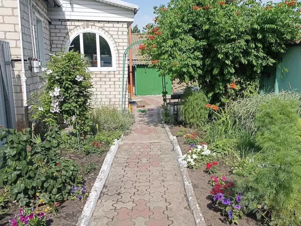 Дом в Белгородская область, Поселок Ивня городское поселение, с. ... - Фото 0