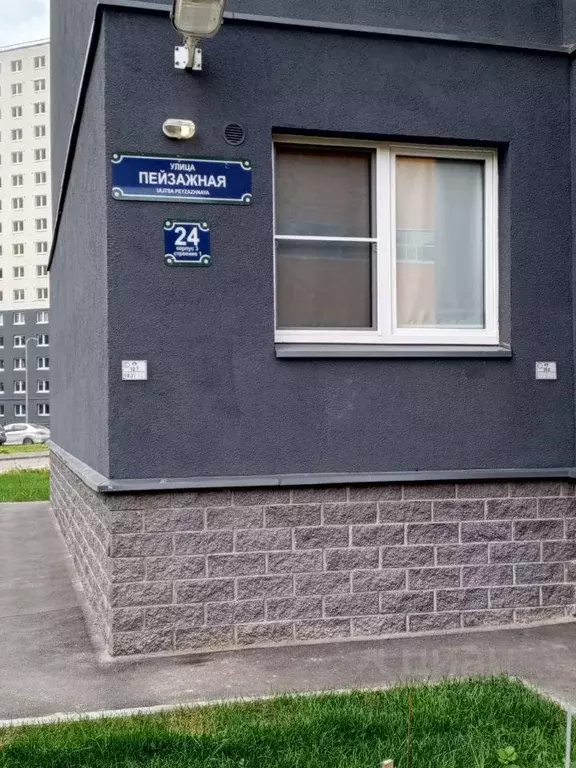 Студия Санкт-Петербург ул. Пейзажная, 24к3 (20.0 м) - Фото 1