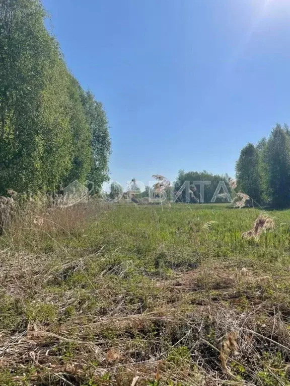 Участок в Тюменская область, Нижнетавдинский муниципальный округ, ... - Фото 2