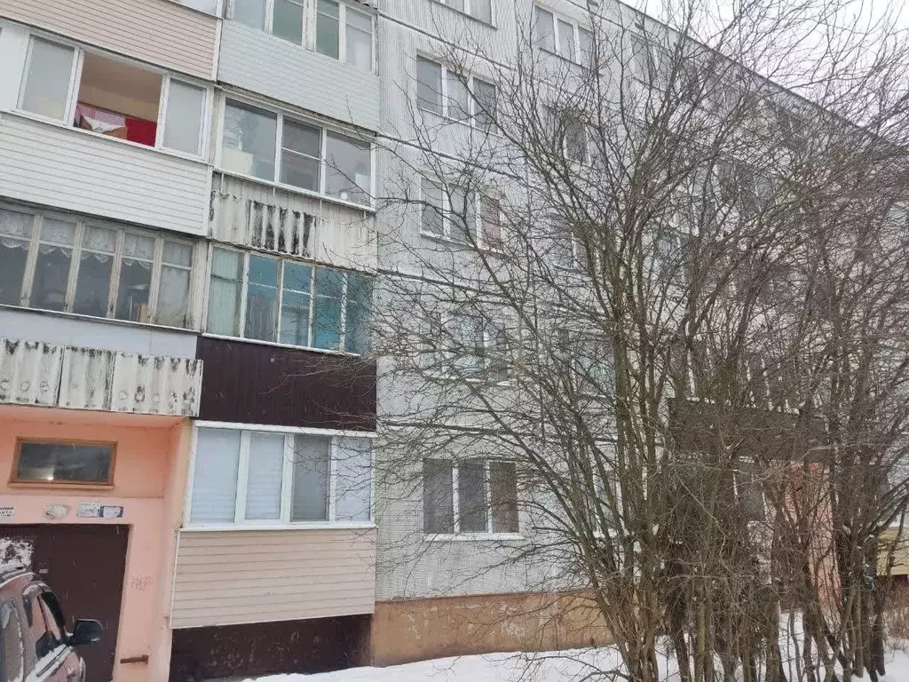 3-к кв. Псковская область, Псков ул. Новоселов, 17 (66.6 м) - Фото 1