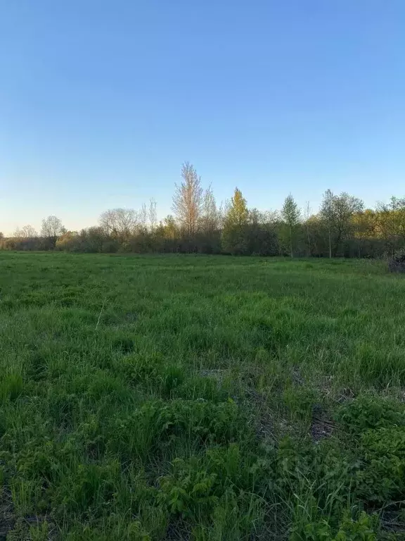 Участок в Новгородская область, Новгородский район, Бронницкое с/пос, ... - Фото 0