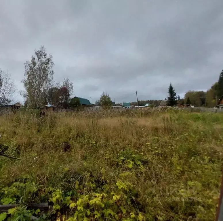 Участок в Пермский край, Александровск Яйва пгт, № 1 СНТ, 100 (10.0 ... - Фото 1