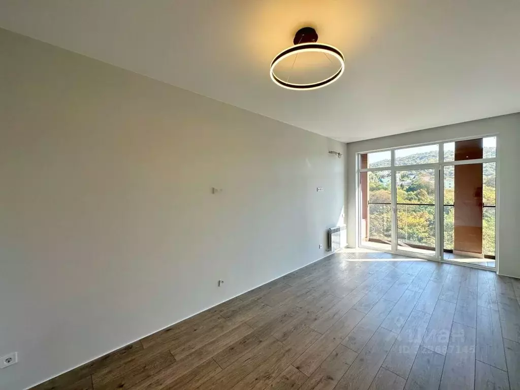 Студия Краснодарский край, Сочи городской округ, Дагомыс пгт ш. ... - Фото 2