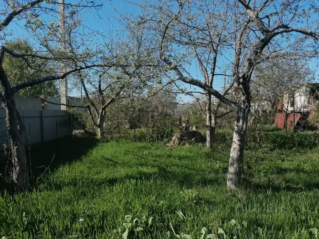 Участок в Саратовская область, с. Михайловка ул. Октябрьская (8.8 ... - Фото 0