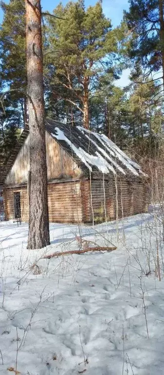 Дом в Тюменская область, Тюменский район, Нива СНТ ул. Цветная (59 м) - Фото 1