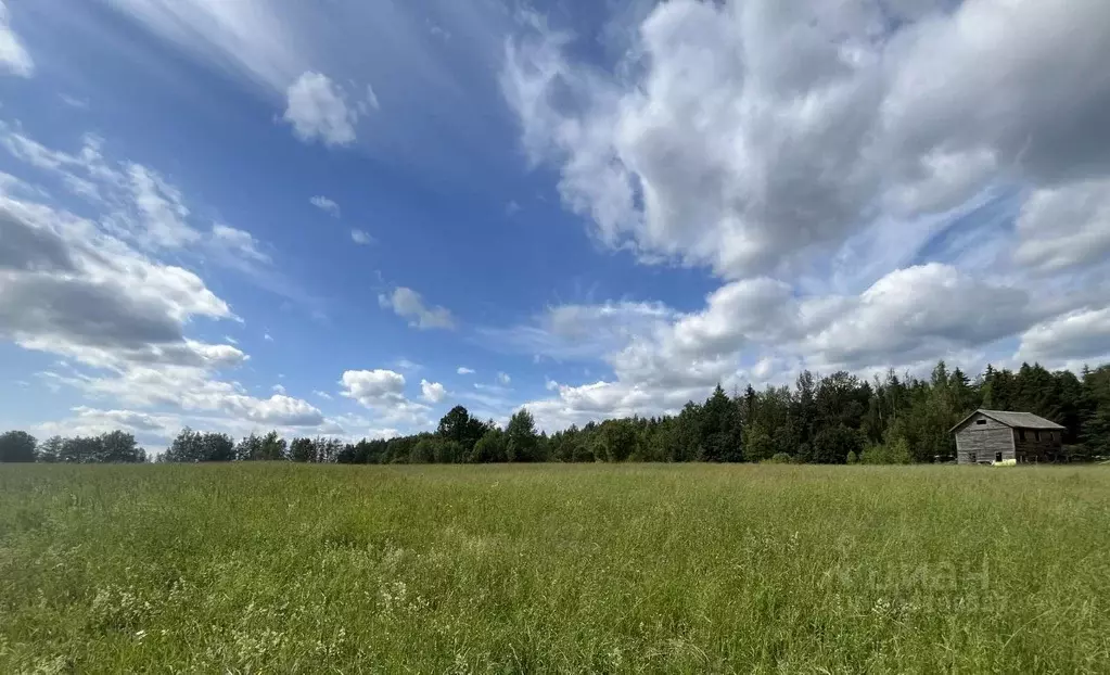 Участок в Московская область, Клин городской округ, д. Тиликтино  ... - Фото 2
