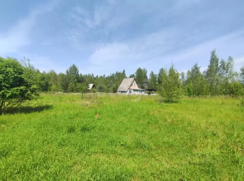 Дом в Псковская область, Печорский муниципальный округ, д. Вишняково  ... - Фото 2