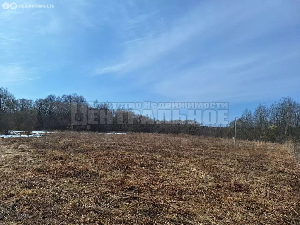 Участок в Смоленский муниципальный округ, деревня Дрюцк (20 м) - Фото 1