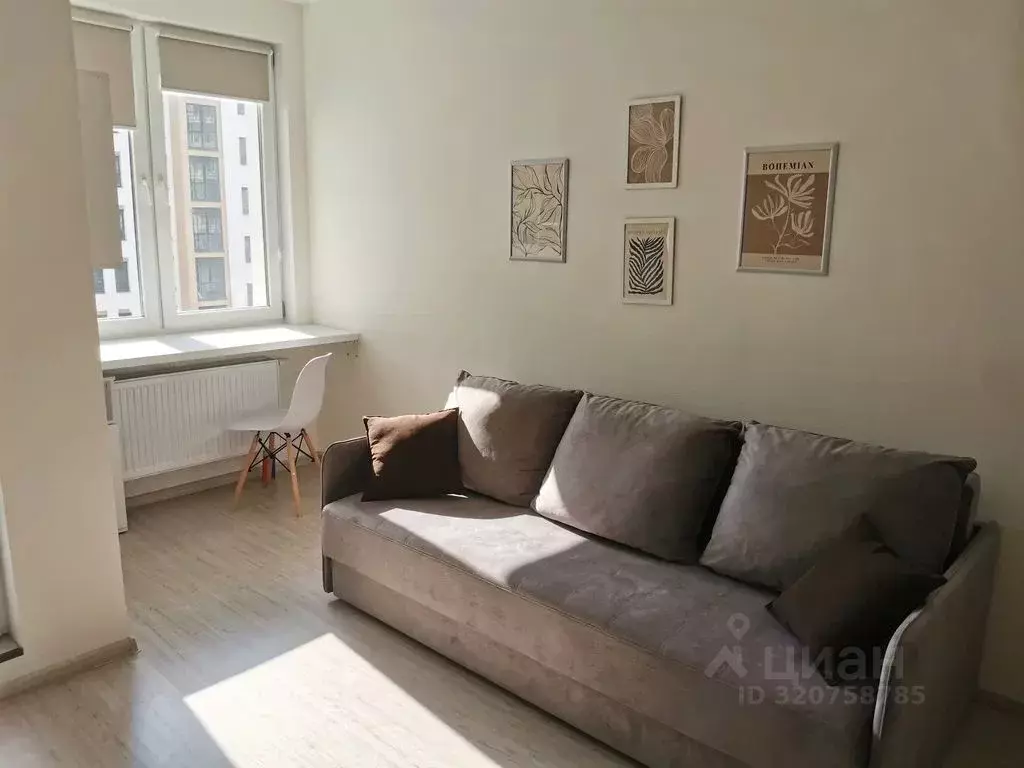 Студия Санкт-Петербург пос. Шушары, просп. Старорусский, 5к1 (26.0 м) - Фото 2