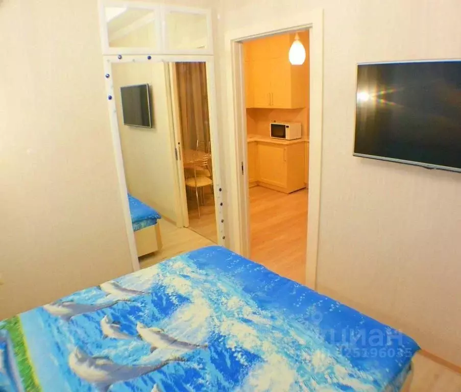 1-к кв. Краснодарский край, Сочи ул. Кирова, 28А (28.0 м) - Фото 2