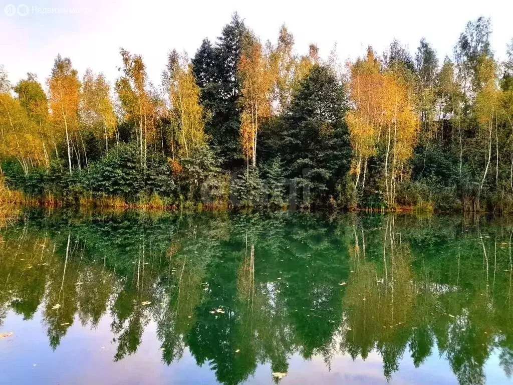 Дом в Киреевский район, сельское поселение Бородинское, СНТ Василёк ... - Фото 1