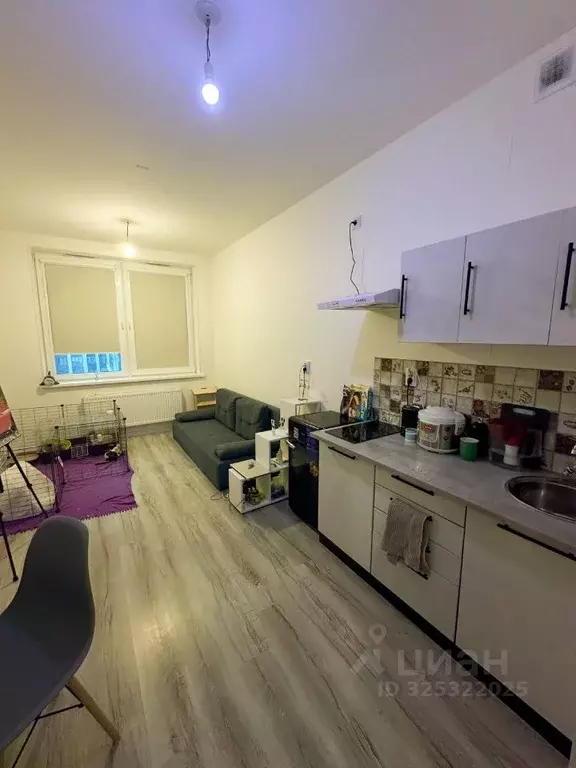 Студия Ленинградская область, Всеволожский район, пос. Бугры ул. ... - Фото 2