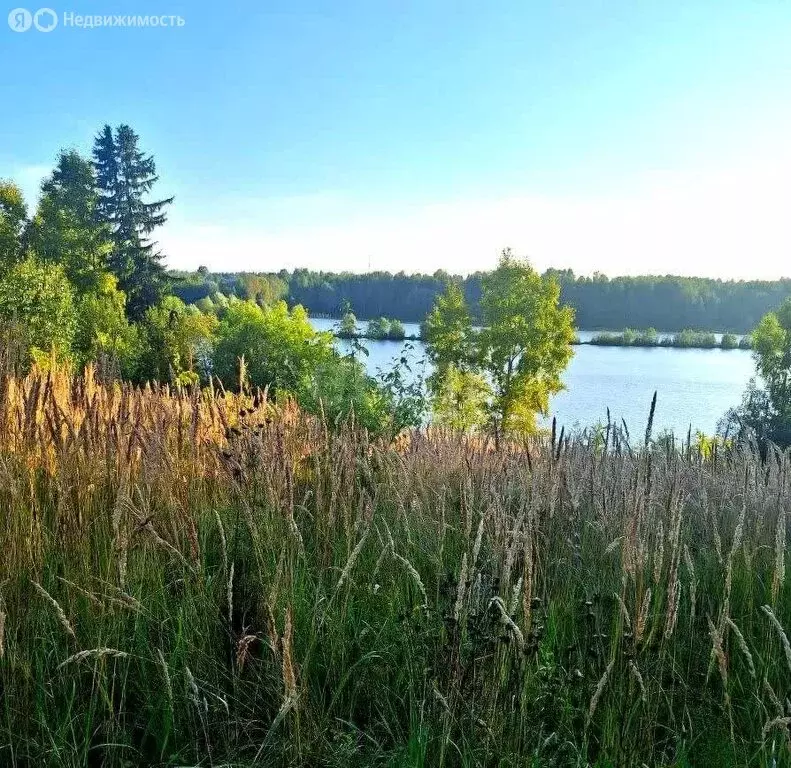 Участок в Вятскополянский район, Гремячевское сельское поселение, ... - Фото 1