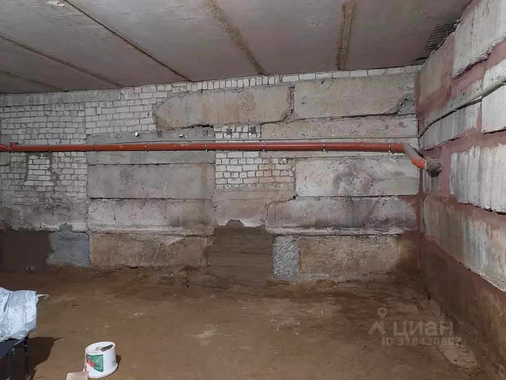 Помещение свободного назначения в Нижегородская область, Бор ул. ... - Фото 0
