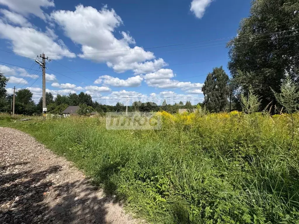 Участок в Брянская область, Брянский район, Глинищевское с/пос, д. ... - Фото 2