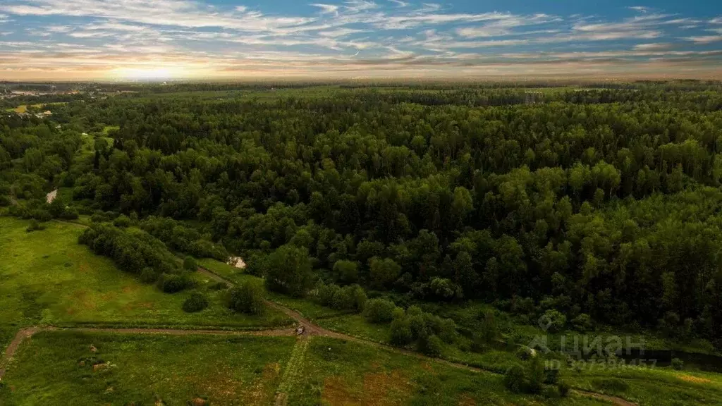 Участок в Московская область, Пушкинский городской округ, Царевское ... - Фото 0