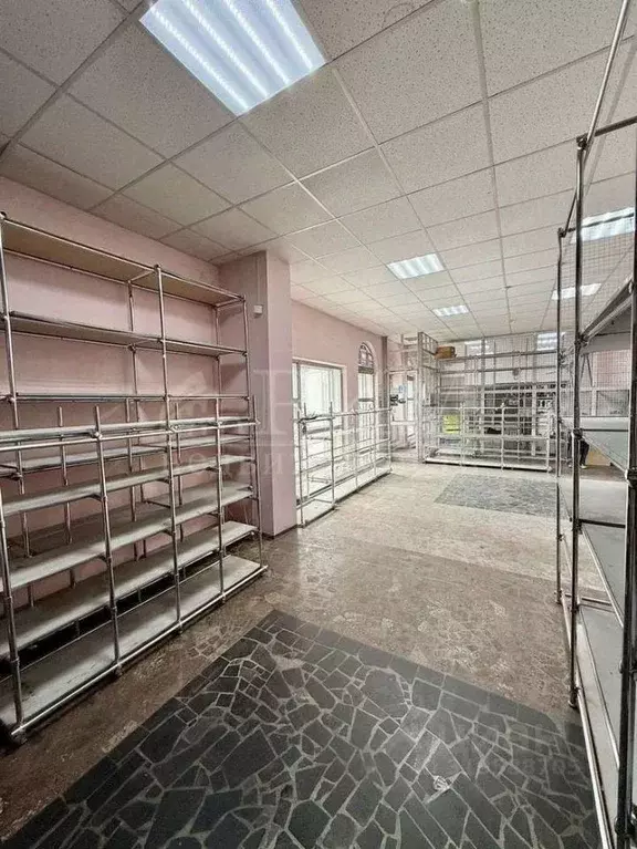 Помещение свободного назначения в Пензенская область, Пенза ул. ... - Фото 2