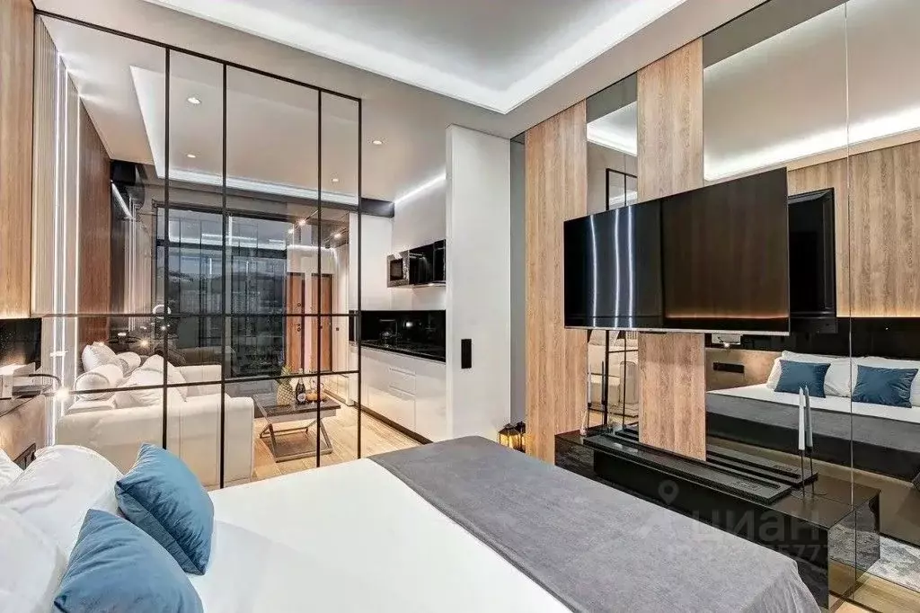 1-к кв. Краснодарский край, Сочи городской округ, Дагомыс пгт ш. ... - Фото 2