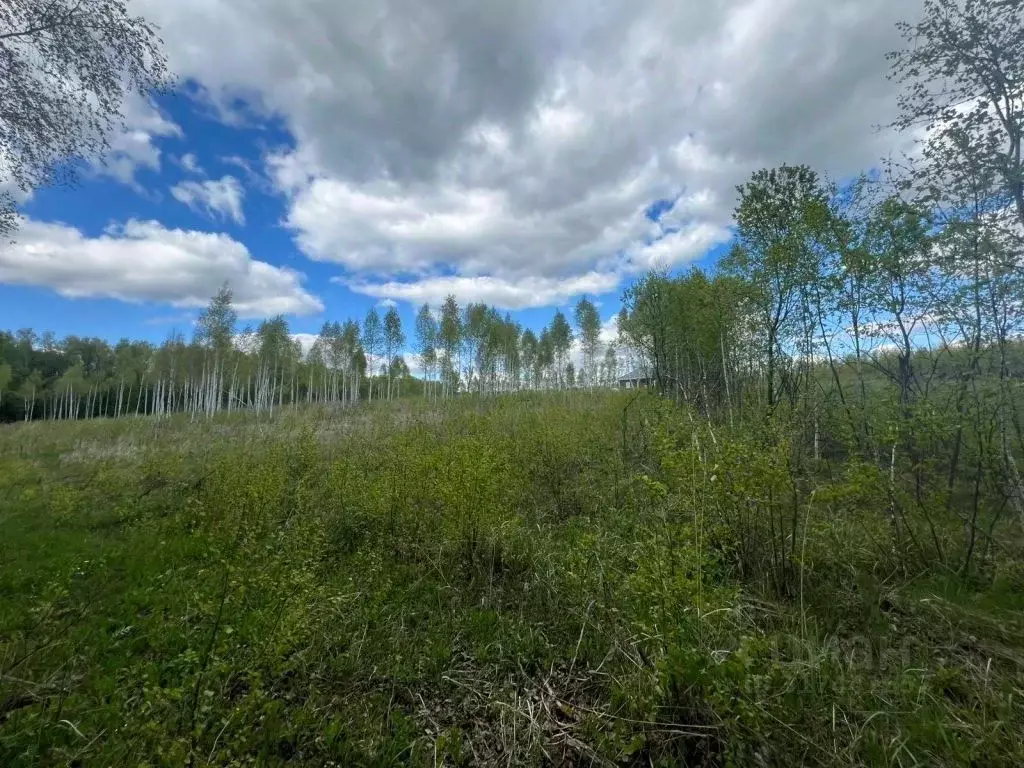 Участок в Тульская область, Тула городской округ, с. Архангельское ул. ... - Фото 1