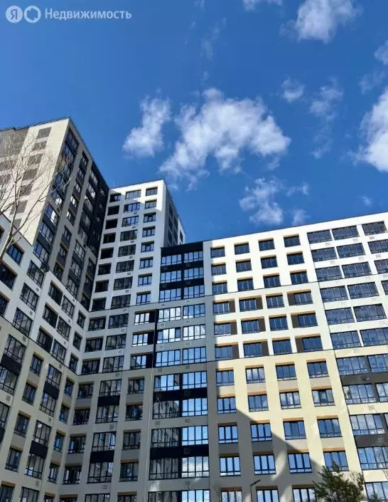 1-комнатная квартира: деревня Патрушева, улица Льва Толстого, 17 (35.7 ... - Фото 1