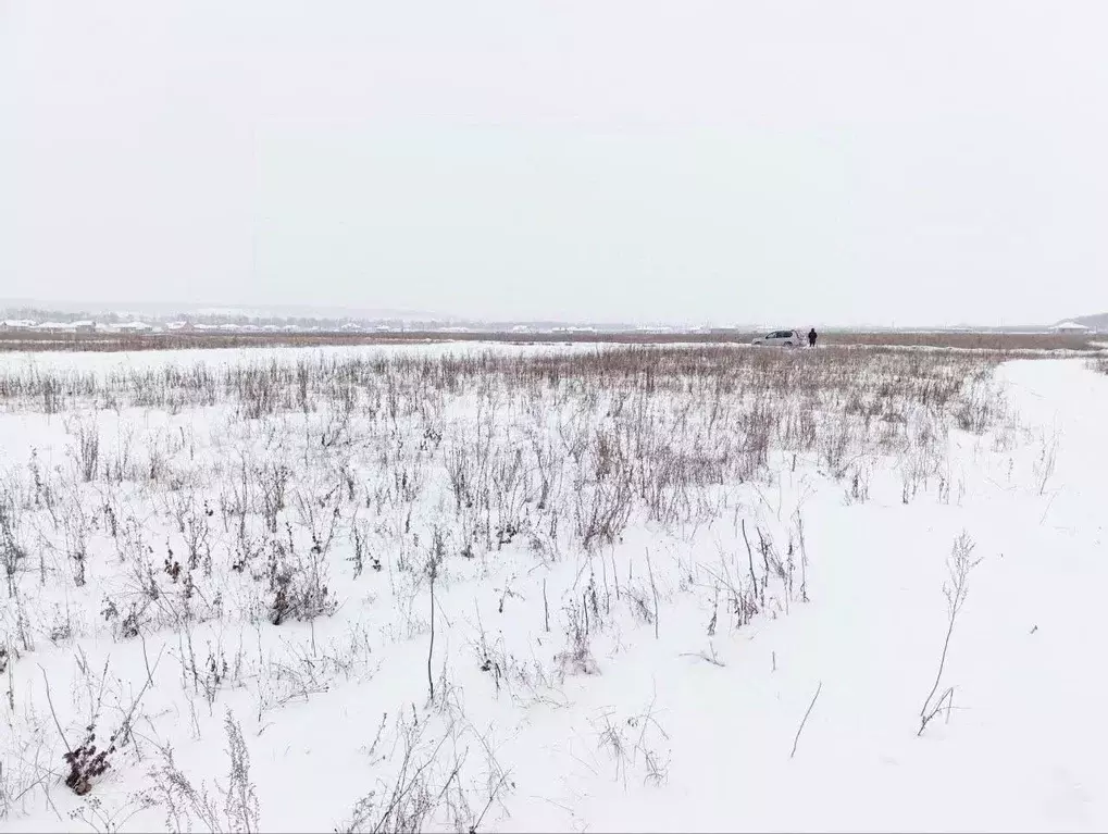 Участок в Белгородская область, Белгородский район, Хохловское с/пос, ... - Фото 2