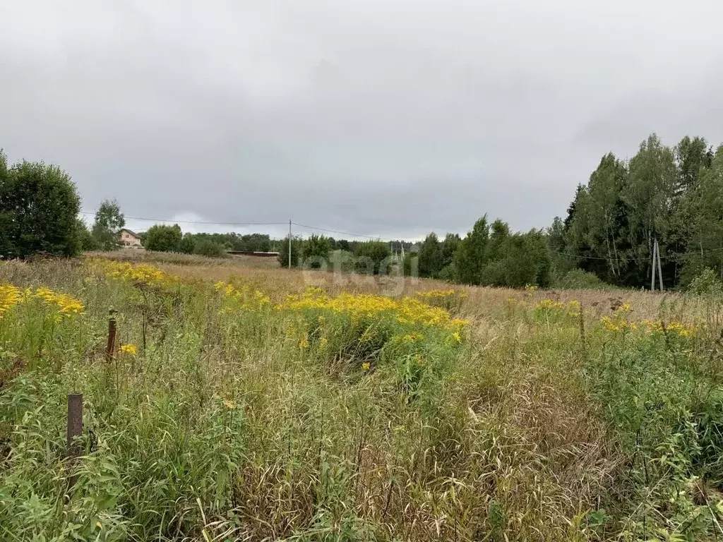 Участок в Смоленская область, Смоленский муниципальный округ, д. ... - Фото 2